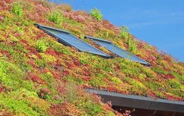 Bicton Heath living roof systems