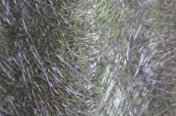 Bicton Heath fibreglass roof work